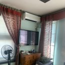 풀빛향기 | 정동진 애견동반펜션 &lt;풀빛향기펜션&gt; 숙박후기