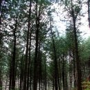 산음캠핑 이미지