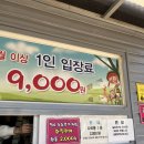 쌍둥이농장 | 강릉) 세돌아기랑 갈만한곳강릉‘쌍둥이 동물농장’ 내돈내산 솔직후기