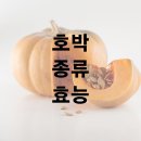 호박 종류 효능 및 효과 보관법 이미지