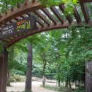 미악골산방 | 슬로 시티 힐링투어 5일차-오대산 선재길에서 마무리