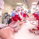 조은한우농장 이미지