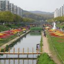 안산천1 이미지