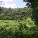 현암리(검배) 이미지