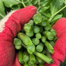 현영농장 이미지