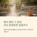 (주)온양관광호텔대중탕 | 아산 온양온천 이용 방법 정리 온천탕 숙박 당일치기