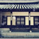 노인심리상담사1급 이미지