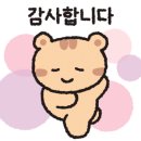 츄츄살롱 이미지