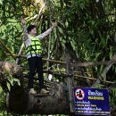 블루라군 이미지