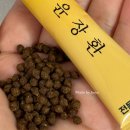 선유도한의원 | [선유도역 한의원] 영등포 다이어트한약 '영롱스틱' 솔직 후기 (feat. 다이어트한약 가격, 효과, 부작용...