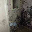 스타다방 이미지