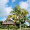 하도포시즌스 이미지