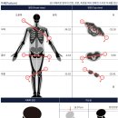(주)더메이트 이미지