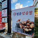 부산 수영 양곱창 남천동 청송양곱창 수영구청맛집