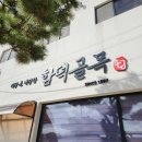 표선리-25 | [25 제주의 겨울, 별과 동백]