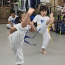 흑룡태권도장 이미지