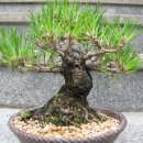 해송농장 이미지