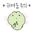 연서 카네이션 이미지