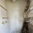 유승한내들퍼스트뷰(아)경로당 | 세종 첫마을 7단지 탄성코트 세탁실 곰팡이 제거와 페인트 재도색 후기