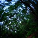 오후의 산책 이미지