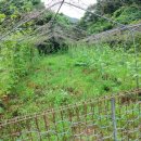 명현농장 이미지