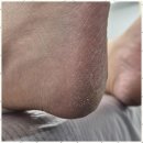 페이스터치 이미지