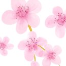 수채화와 디지털 보태니컬 드로잉 이미지