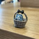 권대식의 참치회방꾼 이미지