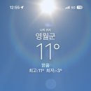 마루펜션 캠핑장 네이버블로그