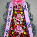 새롬유통 이미지