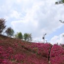 신대호수 이미지