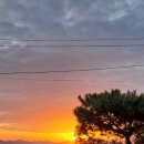 사계절펜션 민박 이미지