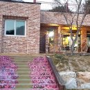 라일락카페라일락리조트 이미지