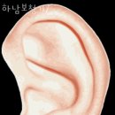 청음이비인후과의원 이미지