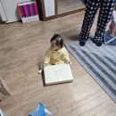 아기 옷 선물 후기, 헤지스키즈 원피스와 닥스키즈 케이프 코디