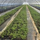 신구농장 이미지