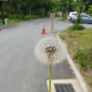 [강원도 홍천 가볼만한곳] 생태숲 수타사계곡 힐링 제대로 하기!