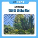 창원 겨울 아이랑 가볼만한 곳 드림파크 '진해만 생태숲 온실’