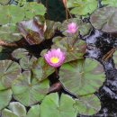 성산일출봉콘도민박 이미지