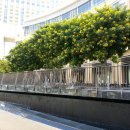 생각의집 이미지