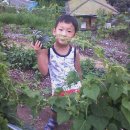 제갈농장 이미지