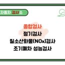 그린1급종합검사정비 네이버블로그