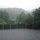 하늘켄넬 이미지