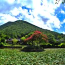 진도 운림산방 이미지