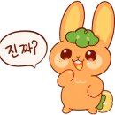 나들이복집식당 이미지