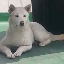 연진