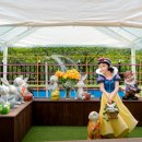 폴라리스키즈펜션 이미지