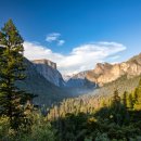 서부로L 이미지