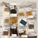 유어마이펫 이미지