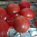 태연2농장 이미지